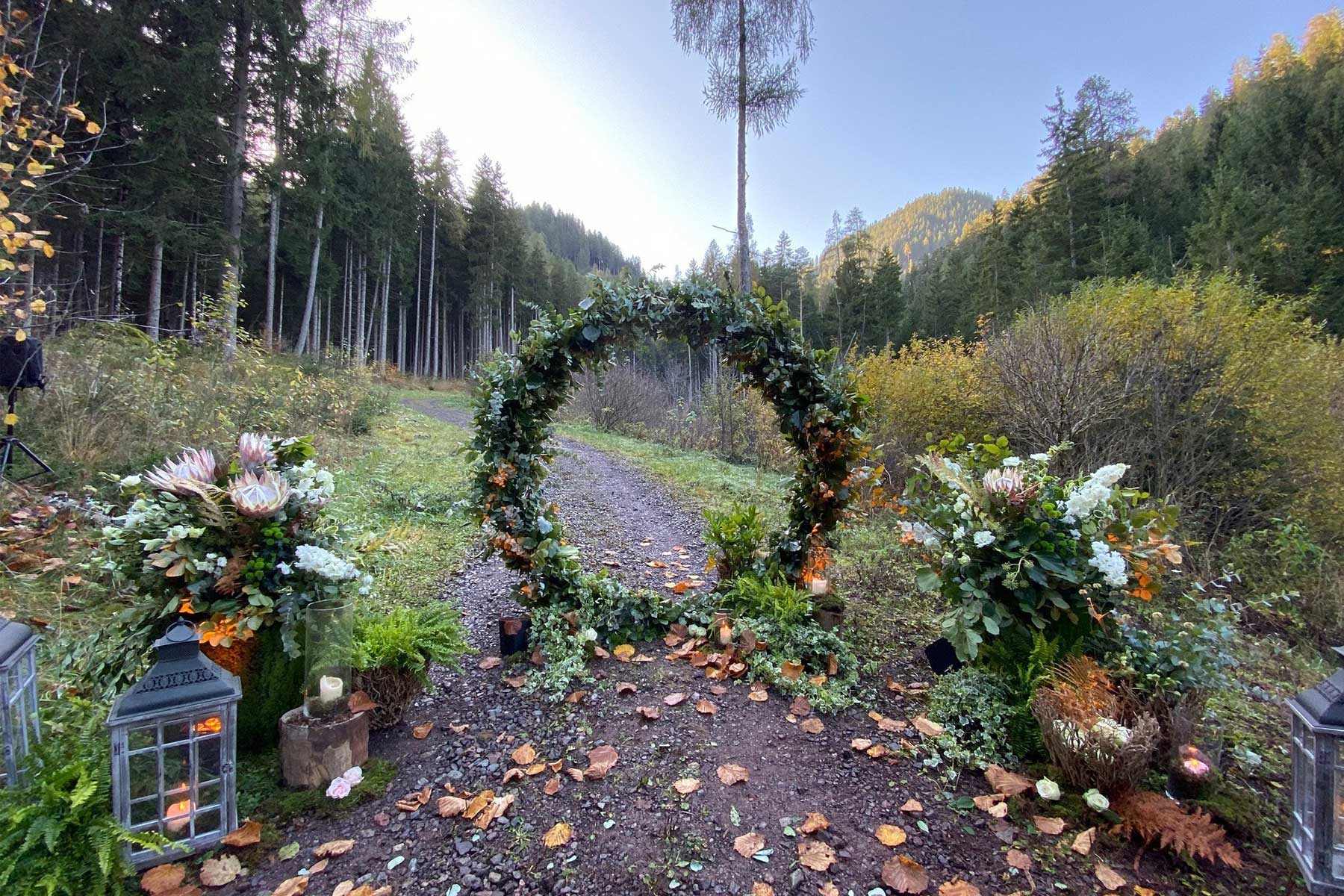 Profumi d’autunno in un bosco incantato