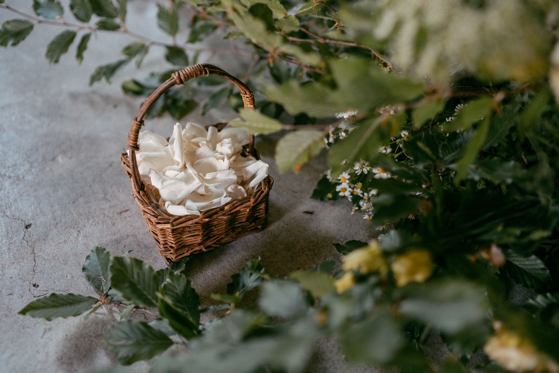 Location matrimonio botanico - Alberto Menegardi Flower Designer
